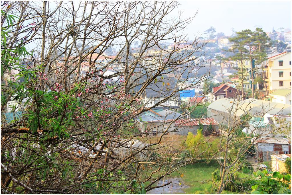 Hobbit Village Da Lat Eksteriør billede